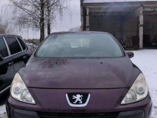 Пластик салона, Peugeot 307 2001-2005