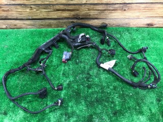 Проводка двигателя, ориг. номер 55562272, Opel Zafira 2003-2006