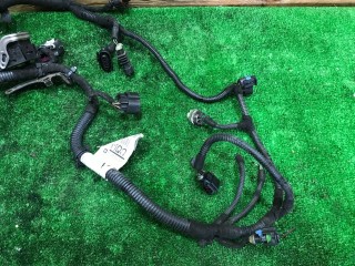 Проводка двигателя, ориг. номер 55562272, Opel Zafira 2003-2006