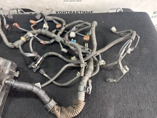 Проводка Двигателя, ориг. номер 821212A670, 896612A320, Toyota Altezza 1998-2005