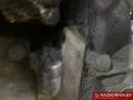 G8DA двигатель в сборе Ford Focus 2 поколение 2004г. - фото №5