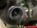 X20DTL двигатель в сборе Opel Astra G - фото №5