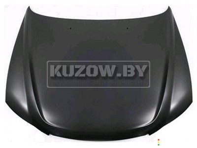 Капот Hyundai Sonata (NF) 2004-2008, TYGHN20027A, фото 1