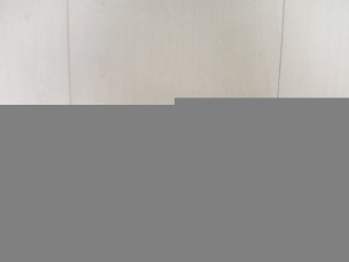 Комплект накладок ножки зеркала, ориг. номер 51168257203, BMW X5 1999-2003