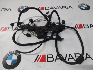 Коса модуля зажигания, ориг. номер 12517529443, BMW X5 1999-2003