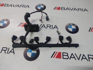Коса модуля зажигания, ориг. номер 12517506843, BMW X5 1999-2003