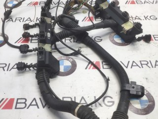 Коса модуля зажигания, BMW X5 1999-2003