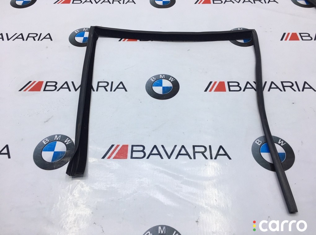 Уплотнитель стекла в боковой двери BMW X6 2007-2012, 51357310317, фото 1