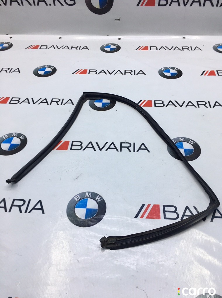 Уплотнитель стекла в боковой двери BMW X6 2007-2012, 51337310315, фото 1