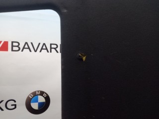 Потолок в комплекте, ориг. номер 51447116849, BMW X5 2003-2006