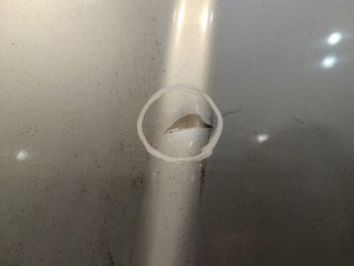 Капот, Hyundai Terracan 2001-2004