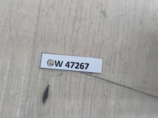 Зеркало наружное левое, ориг. номер A9108100500, MERCEDES-BENZ SPRINTER 4-t Фургон B907, B910 02/2018 -