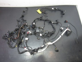 Проводка двигателя BMW 3-серия F30/F31/GT F34 2015-2020