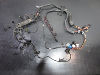 Проводка двигателя BMW X5 E53 2003-2006