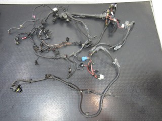 Проводка двигателя BMW 5-серия F10/F11/GT F07 2009-2013