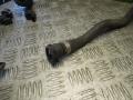 Патрубок (трубопровод, шланг) BMW 5 E60/E61 2008г. - фото №3
