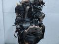 AQY, APK, AZJ двигатель Volkswagen Beetle A4 2001г. - фото №3