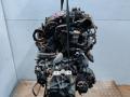 BSE, BGU, BFQ, BFS двигатель Volkswagen Beetle A4 [рестайлинг] 2006г. - фото №3