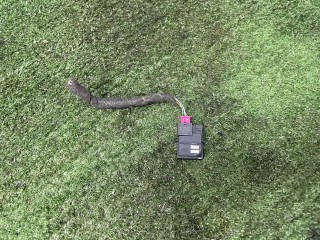 датчик дождя, ориг. номер BJ3218D693BA, BJ3218D693, Land Rover Discovery Sport 2014-2019