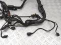 A6401501933 Проводка двигателя Mercedes B (W245) 2007г. - фото №3