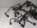 Проводка двигателя Nissan Tiida C11 2007г. - фото №2