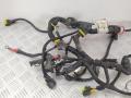55209380 Проводка двигателя Ford Ka 2 2009г. - фото №2