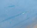 Капот Mercedes Sprinter W901-905 2005г. - фото №4
