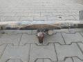 Прицепное устройство (фаркоп) Mercedes Vito W639 2004г. - фото №3