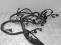 Проводка двигателя Toyota Prius 2 2004г. - фото №3