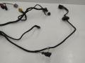 3B0971120 Проводка двери Volkswagen Passat B5+ (GP) 2002г. - фото №3