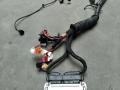 038906019KC Проводка двигателя Volkswagen Passat B5+ (GP) 2002г. - фото №3