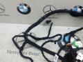 5A5B0C9 проводка торпеды BMW X7 G07 [рестайлинг] 2023г. - фото №4