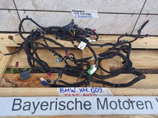 проводка BMW XM G09 2022-2026, 5A6A821