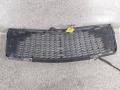 решетка радиатора Mercedes-Benz S W140 [рестайлинг] - фото №2