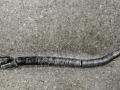 трубка гидроусилителя Mercedes-Benz S W140 [рестайлинг] 1995г. - фото №2