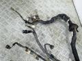 проводка двигателя Toyota Corolla 9 поколение (E120/E130) 2003г. - фото №2