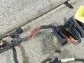 проводка двери передней левой Volkswagen Passat B6 - фото №4
