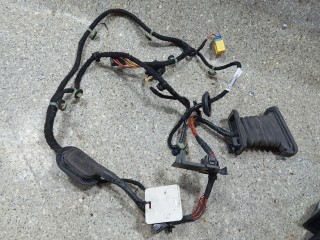 проводка двери передней левой, Volkswagen Passat B6 2005-2010