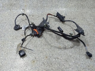 проводка двери задней левой, Volkswagen Passat B6 2005-2010