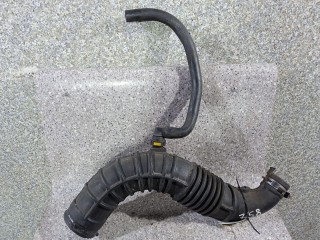 патрубок (трубопровод, шланг), ориг. номер 8200500384, Renault Kangoo  [рестайлинг] 2003-2009