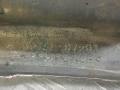 5271197201 молдинг переднего бампера Daihatsu Sirion 1 поколение M100 [рестайлинг] 2004г. - фото №8