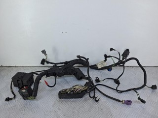 проводка двигателя Ford Fiesta 5 поколение [рестайлинг] 2005-2008, 6S6T14K011HC