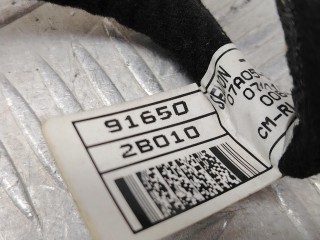 проводка двери задней левой, ориг. номер 916502B010, Hyundai Santa Fe 2 поколение 2005-2010