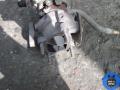 4913503411 Турбина Mitsubishi Pajero 2003г. - фото №3