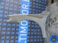 Крыло переднее правое Volvo V70 2013г. - фото №3