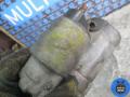 3M5T11000AE Стартер Ford Focus 2008г. - фото №3