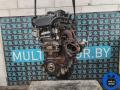 F1AE0481B Двигатель Iveco Daily 2004г. - фото №2
