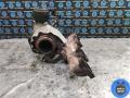 03G253016H Турбина Volkswagen Passat 2008г. - фото №3