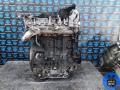 M9RD833 Двигатель Nissan Qashqai 2008г. - фото №11