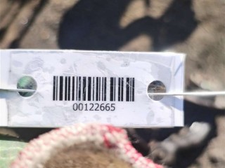 Планка под капот, ориг. номер 9807148180, Peugeot 308 2011-2015
